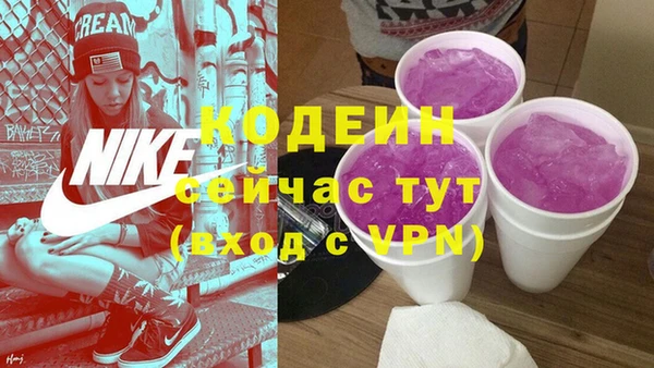 дурь Гусиноозёрск