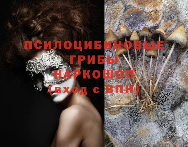 кокс Гусев
