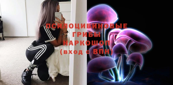 кокс Гусев