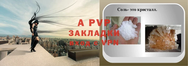 кокс Гусев