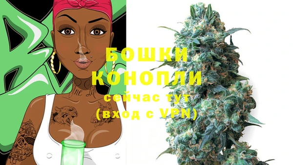 дурь Гусиноозёрск