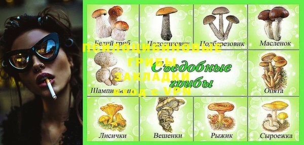 кокс Гусев