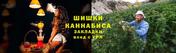дурь Гусиноозёрск