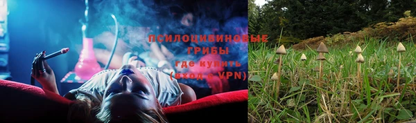 кокс Гусев