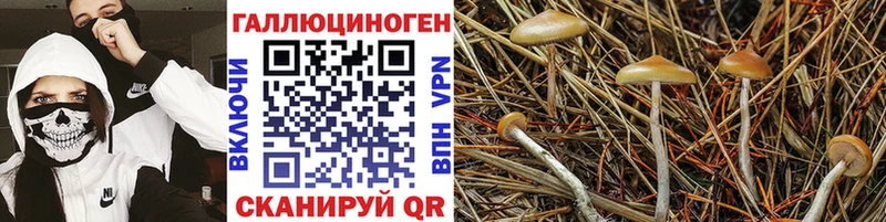 Купить  Княгинино  Галлюциногенные грибы ЛСД 