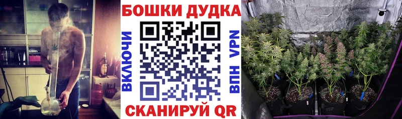 Купить закладки  Княгинино  Марихуана сатива 
